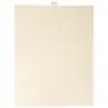 White Plastic Canvas Sheet